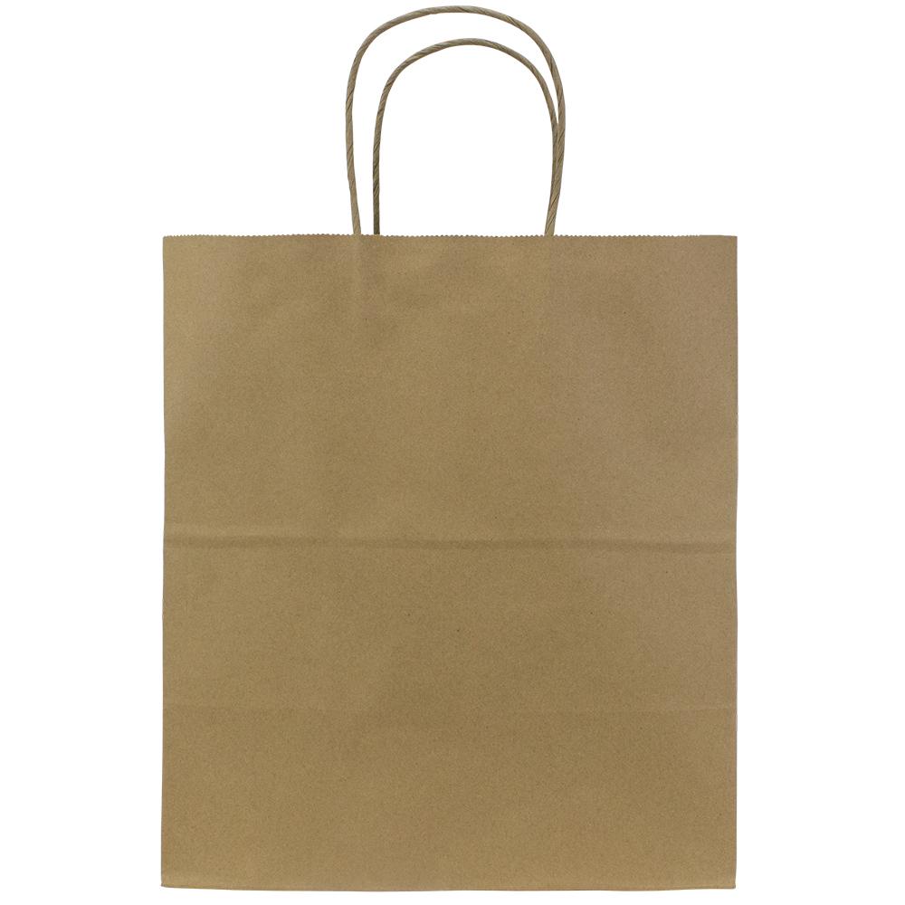 Karat Malibu (Large) Paper Shopping Bags - Kraft - 250 ct, Coffee Shop  Supplies, Carry Out Containers