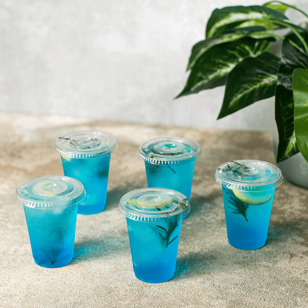 Karat 7 oz Cup Lids, PET, 74 mm — 1,000 ct — product photo 4