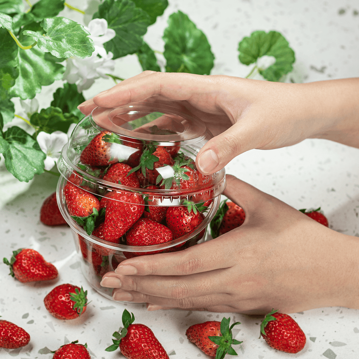 Karat 8-32 oz Deli Container Dome Lids, PET, 117 mm — 500 ct — product photo 4