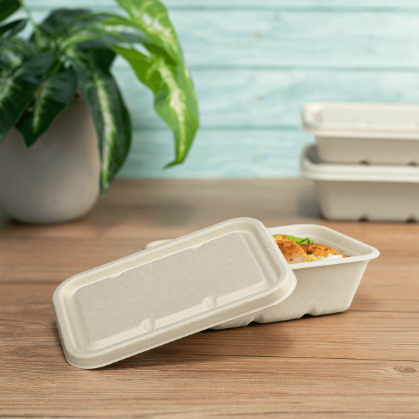 Karat Earth Bagasse Flat Lid for 16-24 oz Bagasse Take Out Container, Rectangular — 500 pcs
