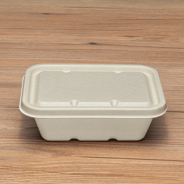 Karat Earth Bagasse Flat Lid for 16-24 oz Bagasse Take Out Container, Rectangular — 500 pcs — product photo 7