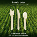 Karat Earth PFAS Free Bagasse Cutlery Kits (Knife, Fork, Soup Spoon, 2-ply Napkin), Paper Wrapped — 250 sets — product photo 9