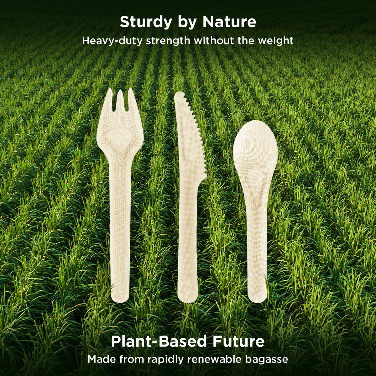 Karat Earth PFAS Free Bagasse Cutlery Kits (Knife, Fork, Soup Spoon, 2-ply Napkin), Paper Wrapped — 250 sets — product photo 9