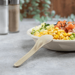 Karat Earth PFAS Free Bagasse Spoon Paper Wrapped — 750 pcs