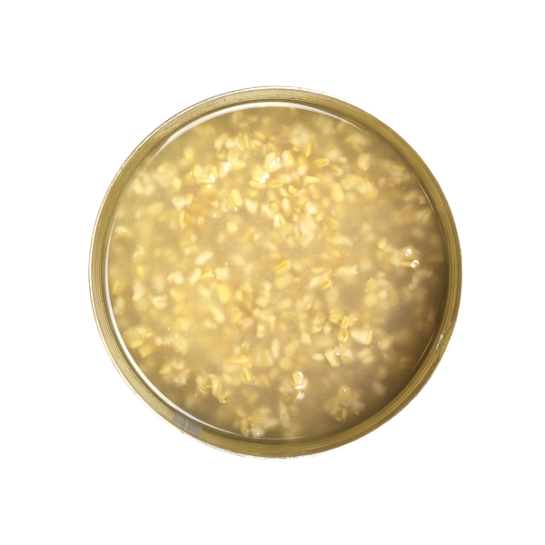 Tea Zone Premium Natural Oats — Can (6.83 lb) — product photo 3