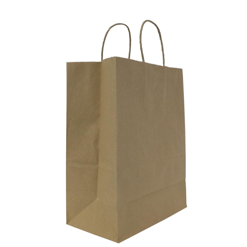 Karat Laguna (Medium) Paper Shopping Bags - Kraft - 250 ct-To-Go Packaging-Karat-Restaurant Supply Drop