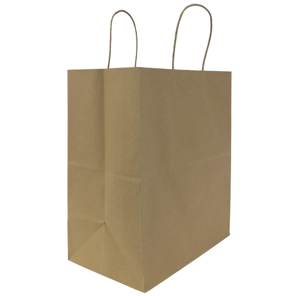 Karat Malibu (Large) Paper Shopping Bags - Kraft - 250 ct-To-Go Packaging-Karat-Restaurant Supply Drop