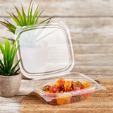Compostable 8oz Hinged Deli Containers - PLA Small Hinged Deli Box - 200 count-Karat Earth