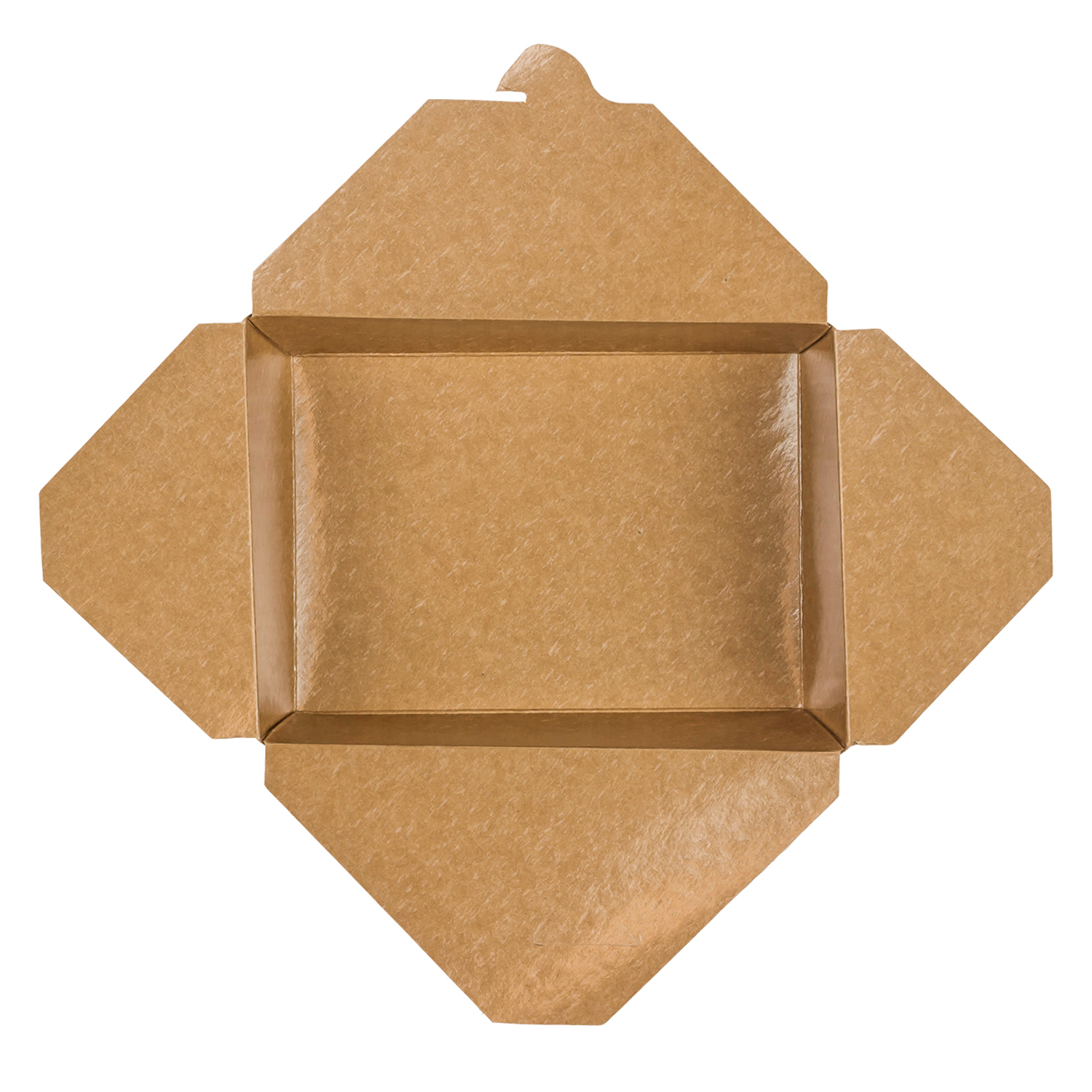 Large Kraft Take Out Containers 5ct